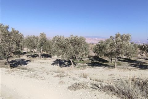 Cave house i Freila, Granada, Freila - € 100.000 | Ref: 254 - foto 29